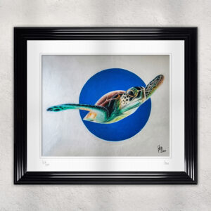 Sea Turtle - Limited Edition Print of 200